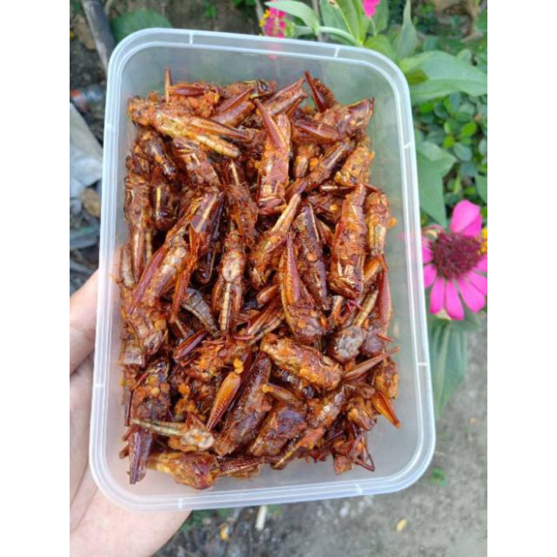 

BELALANG GORENG KRISPI 100% Kualitas Premium Harga recommended Murah meriah Best seller Camilan Oke