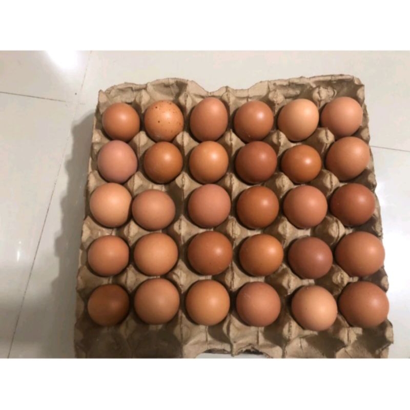 

TELUR AYAM NEGERI 1KG