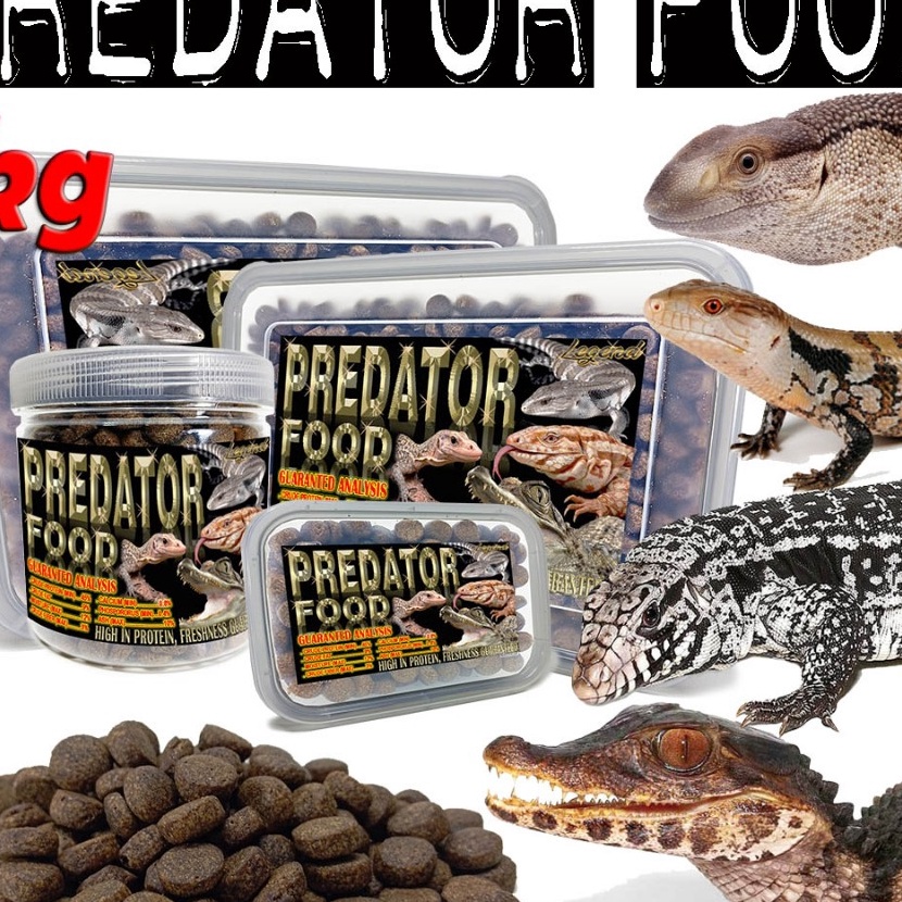 Diskon 1KG PELET DIET MAKANAN REPTILE PREDATOR FOOD PAKAN TEGU KURA AST CST CAIMAN PELLET VARANUS AL