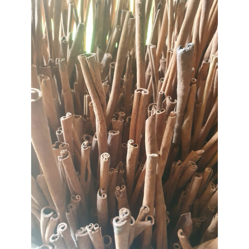 

papi saiyo kayu manis utuh cinnamon stick 1kg 500gr