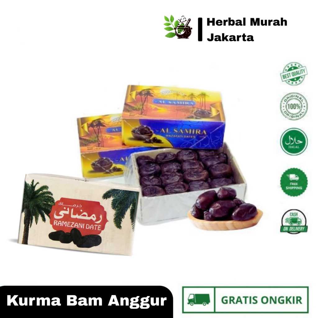 

Kurma Bam Anggur / Kurma Lembut Basah Fresh Original 500gr