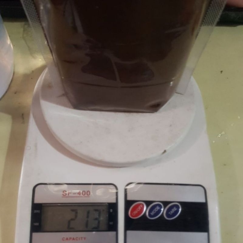 

robusta
