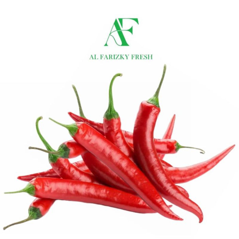 

Cabe Merah Besar TW