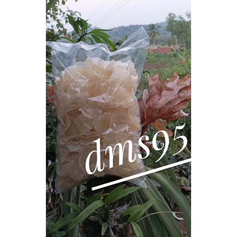 

emping garut non kolestrol