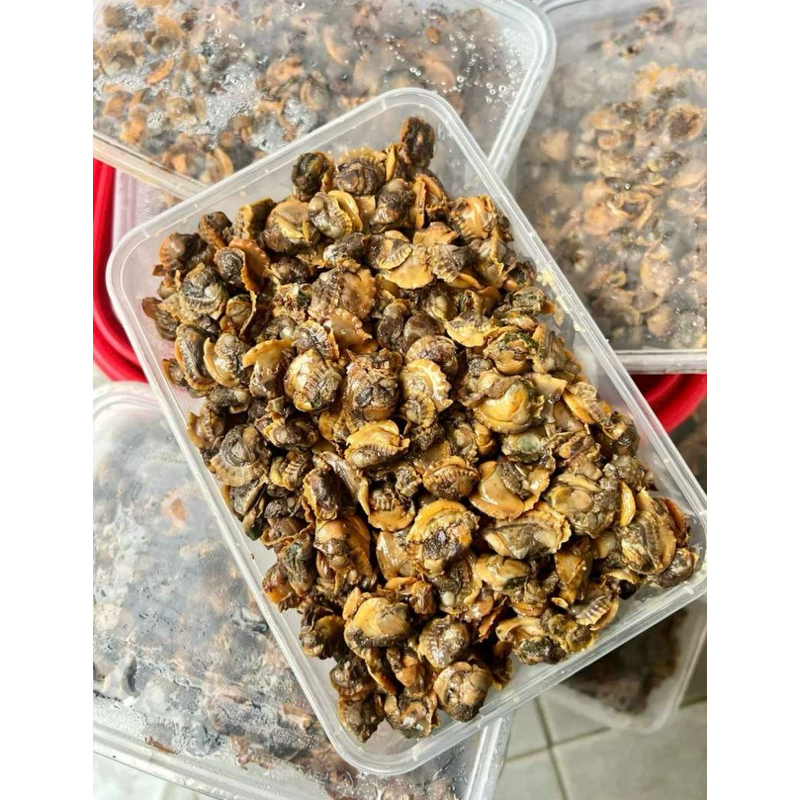 

Kerang Dara Frozen 500 Gram