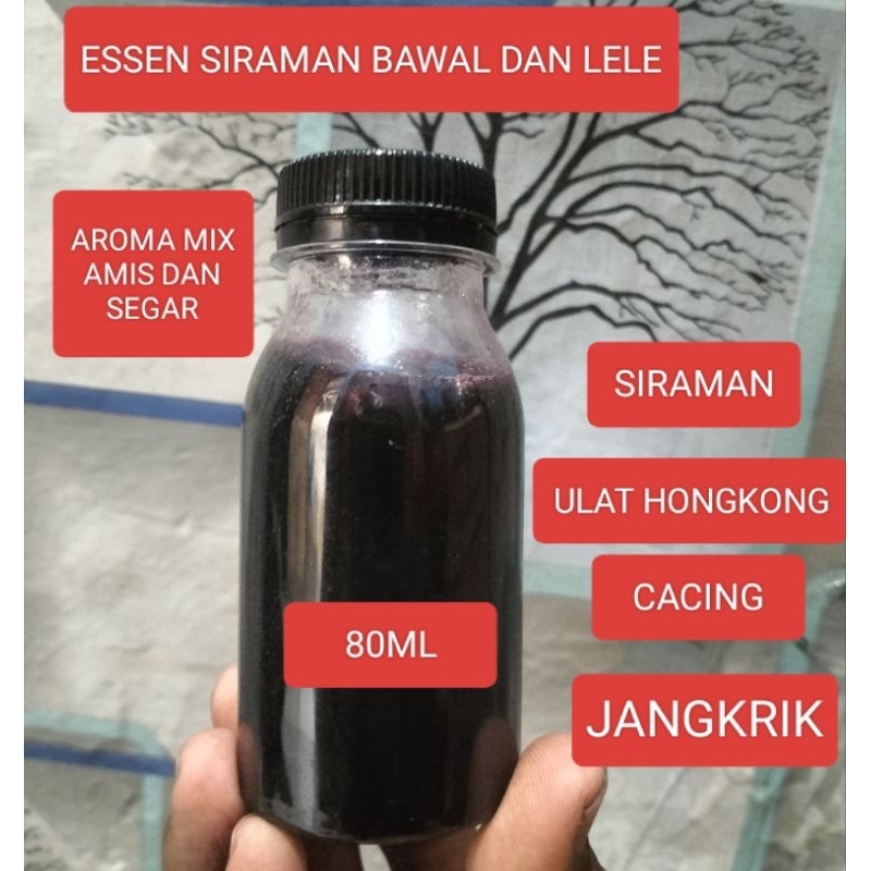 ESSEN SIRAMAN GALATAMA/HARIAN BAWAL & LELE