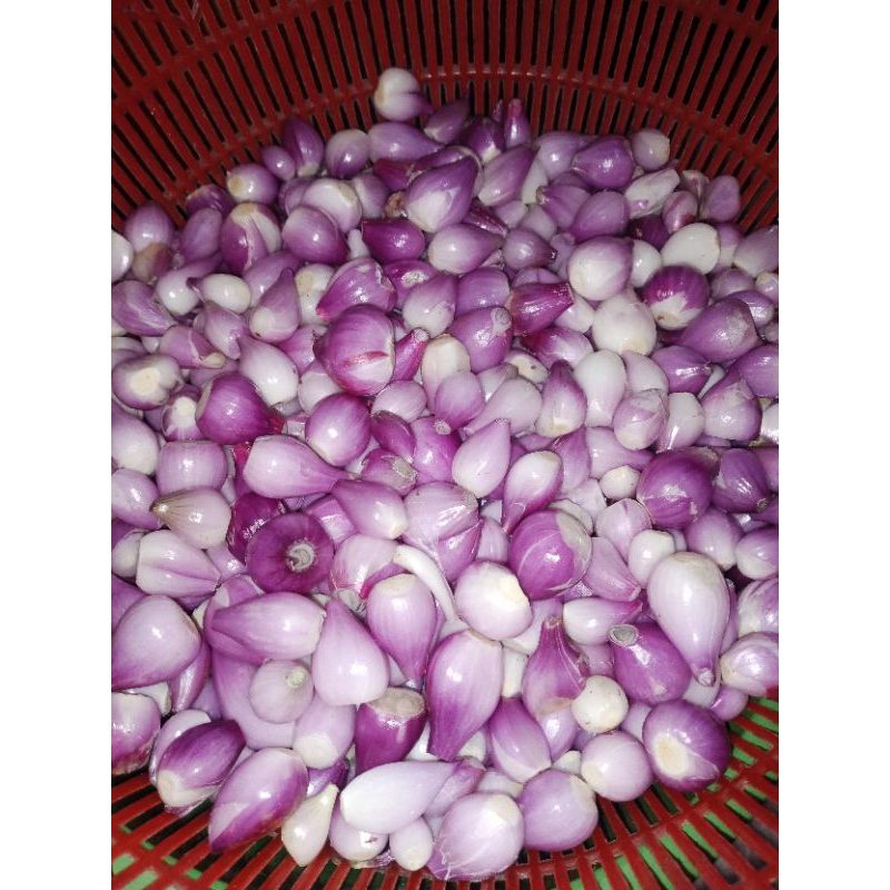 

Bawang Merah Kupas 1 kg