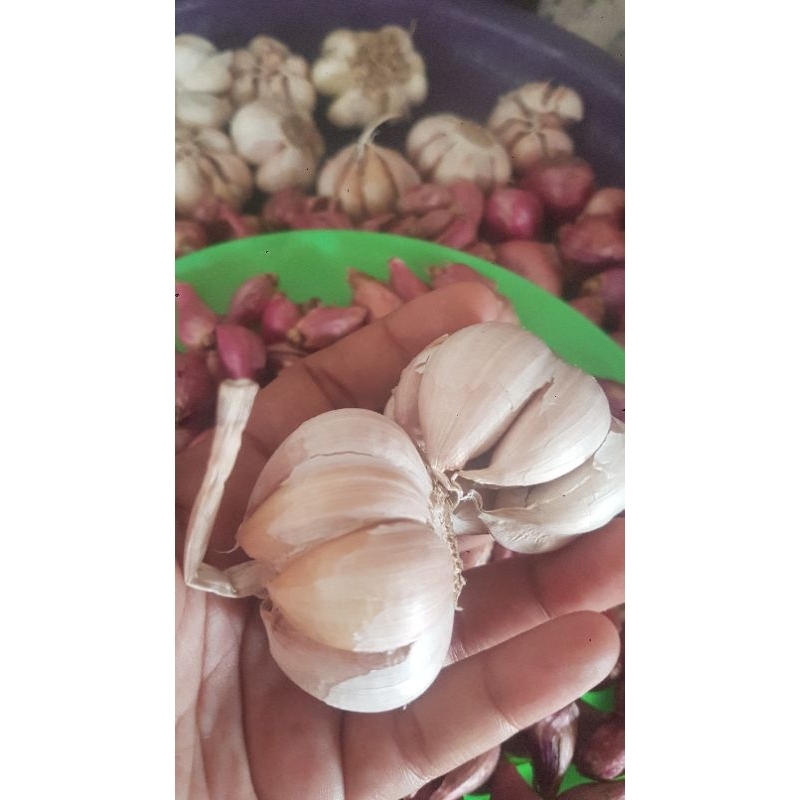 

PAKET MERAH PUTIH (bamer 1kg + baput 1kg)