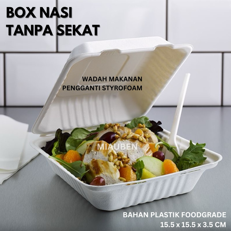 Box nasi tanpa sekat pengganti styrofoam sterofoam