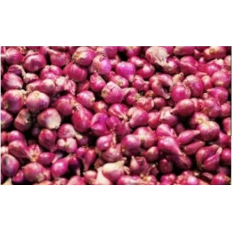 

bawang merah brebes