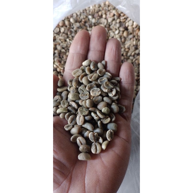 

Biji kopi Arabika Organik Natural 1kg