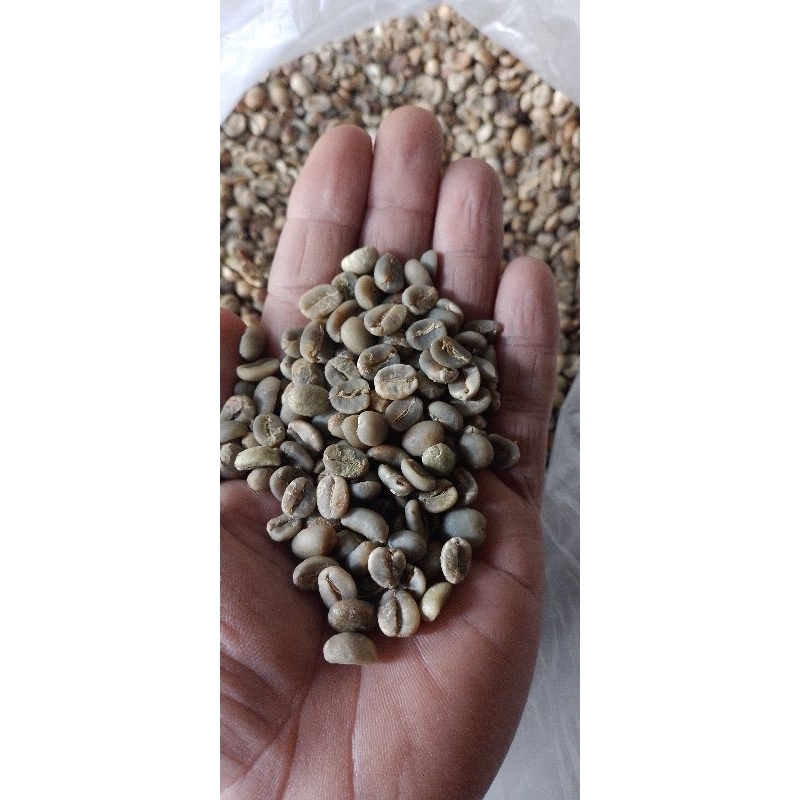 

Biji kopi Arabika Organik Natural 1kg