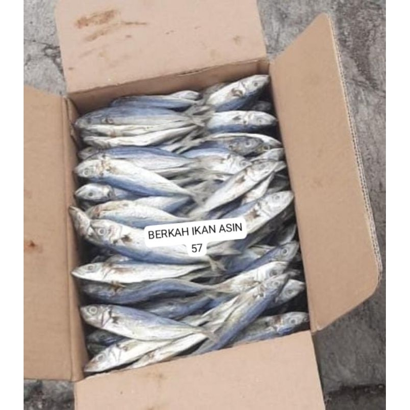 

GROSER!!! OBRAL 1kg GEREH PEDA/PEDO K1 super premium