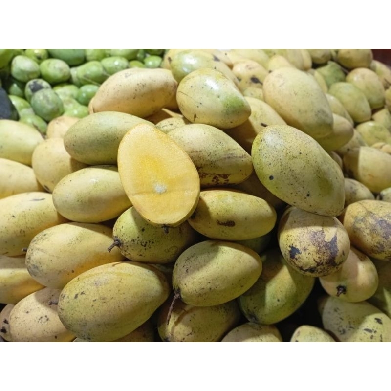 

JUAL MANGGA LOKMAI CHANGMAY CHIANG MAI MATANG POHON 1 Kilogram