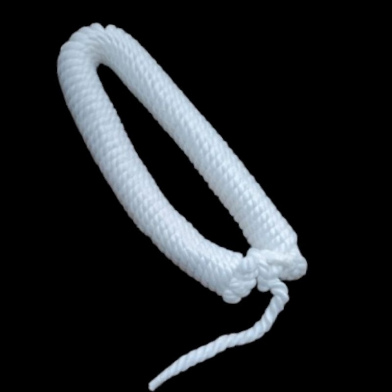 

Tali pramuka 10 meter