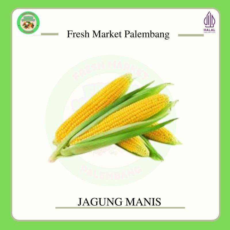 

Jagung manis -Fresh Market Palembang-