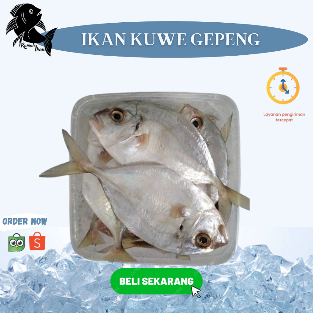

Ikan Kuwe Rumah Ikan Segar 1Kg