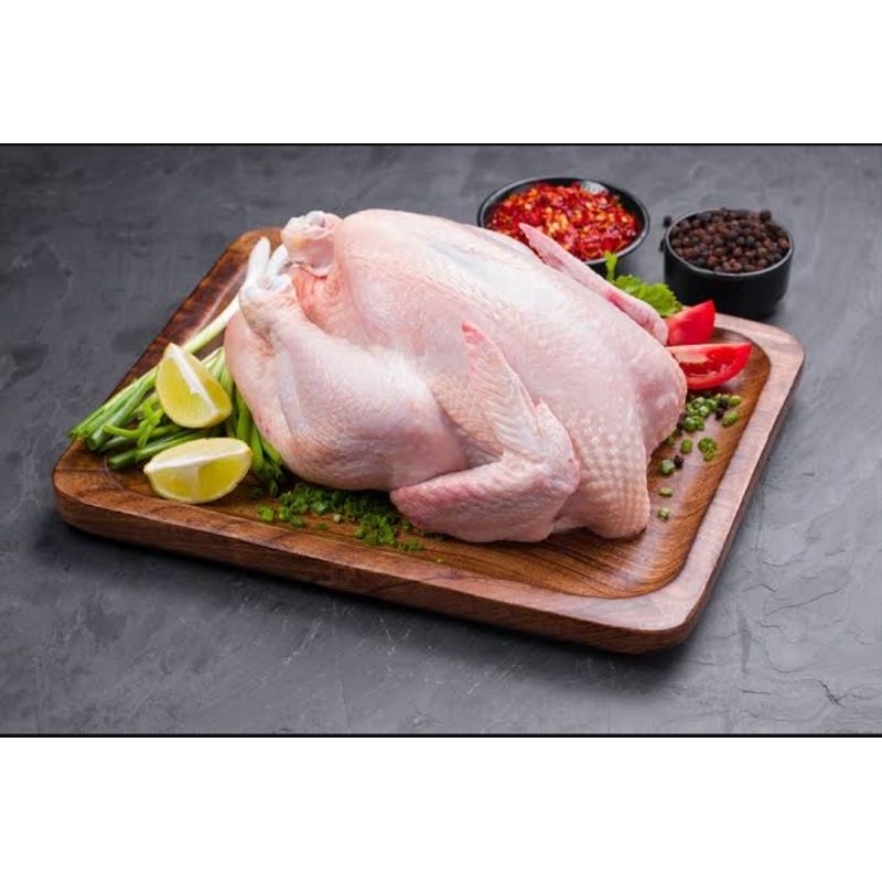 

karkas broiler 04