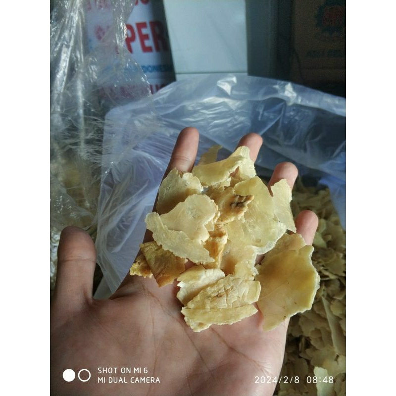 

EMPING| PECAHAN BESAR || KUALITAS GRADE A || 500gr