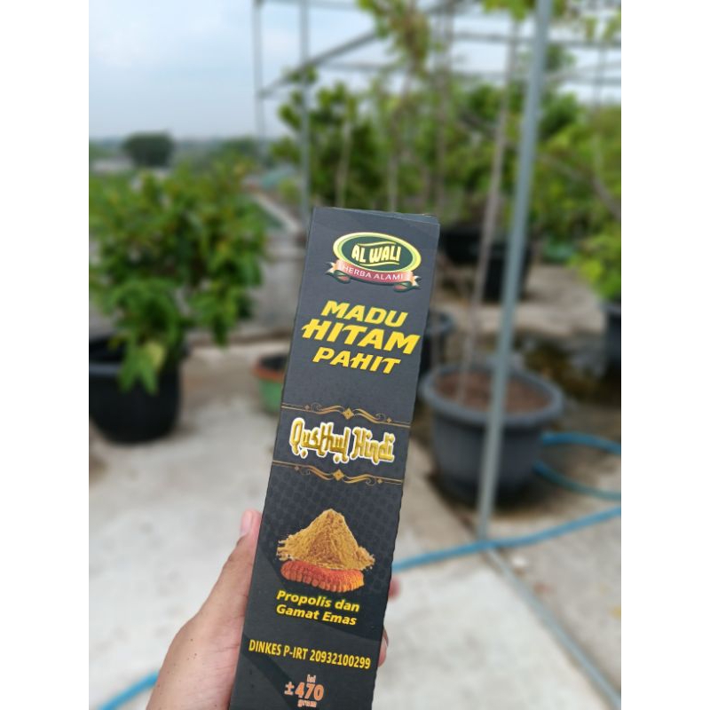 

Madu Hitam Pahit Qusthul Hindi Alwaliy