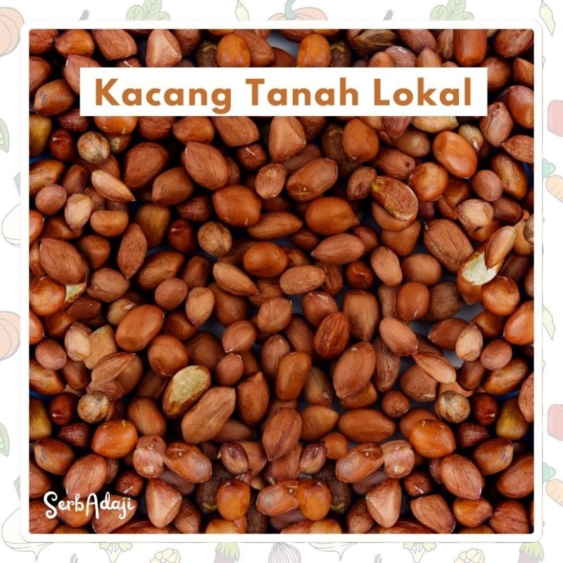 

Kacang Tanah Lokal Mentah Asli Alami Peanuts Termurah Makassar ukuran sedang