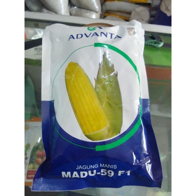 

jagung manis advanta MADU Isi ±1750 biji