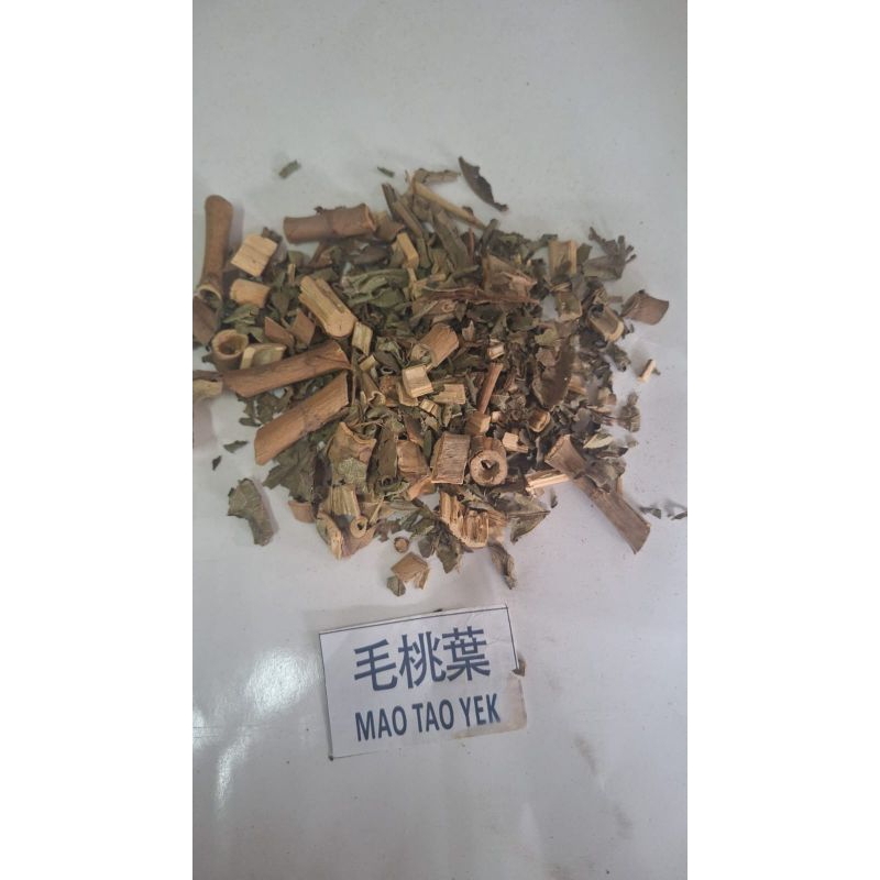 

10 G 50 GR 100 GRAM 毛桃叶 MAO TAO YE