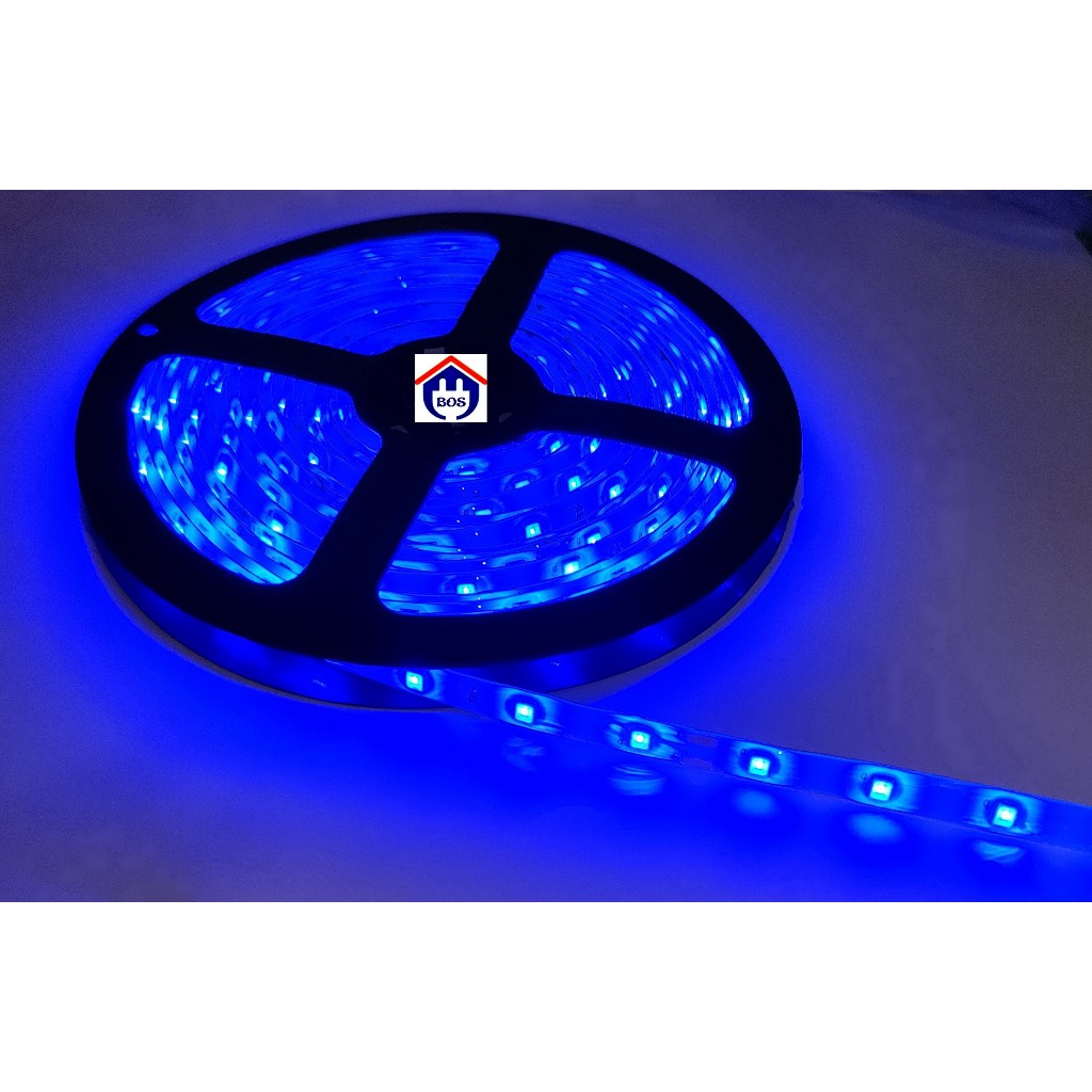 Lampu Led Strip Muxindo 3528 IP44 DC 12V 5 Meter - Biru