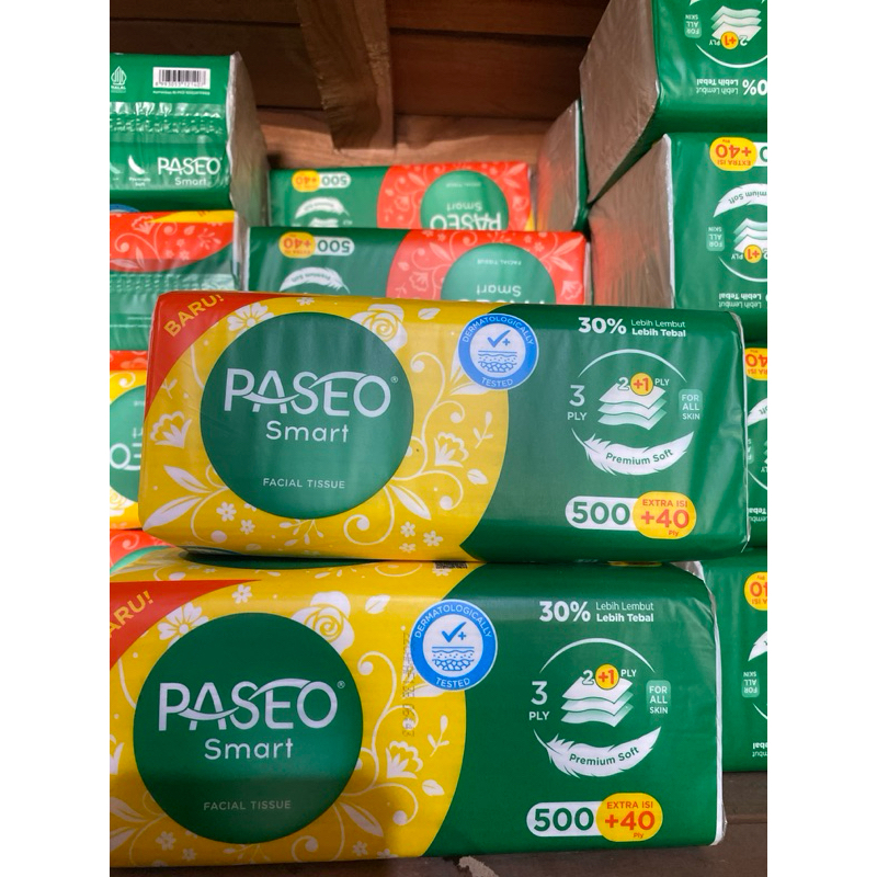 tisu paseo besar 540ply