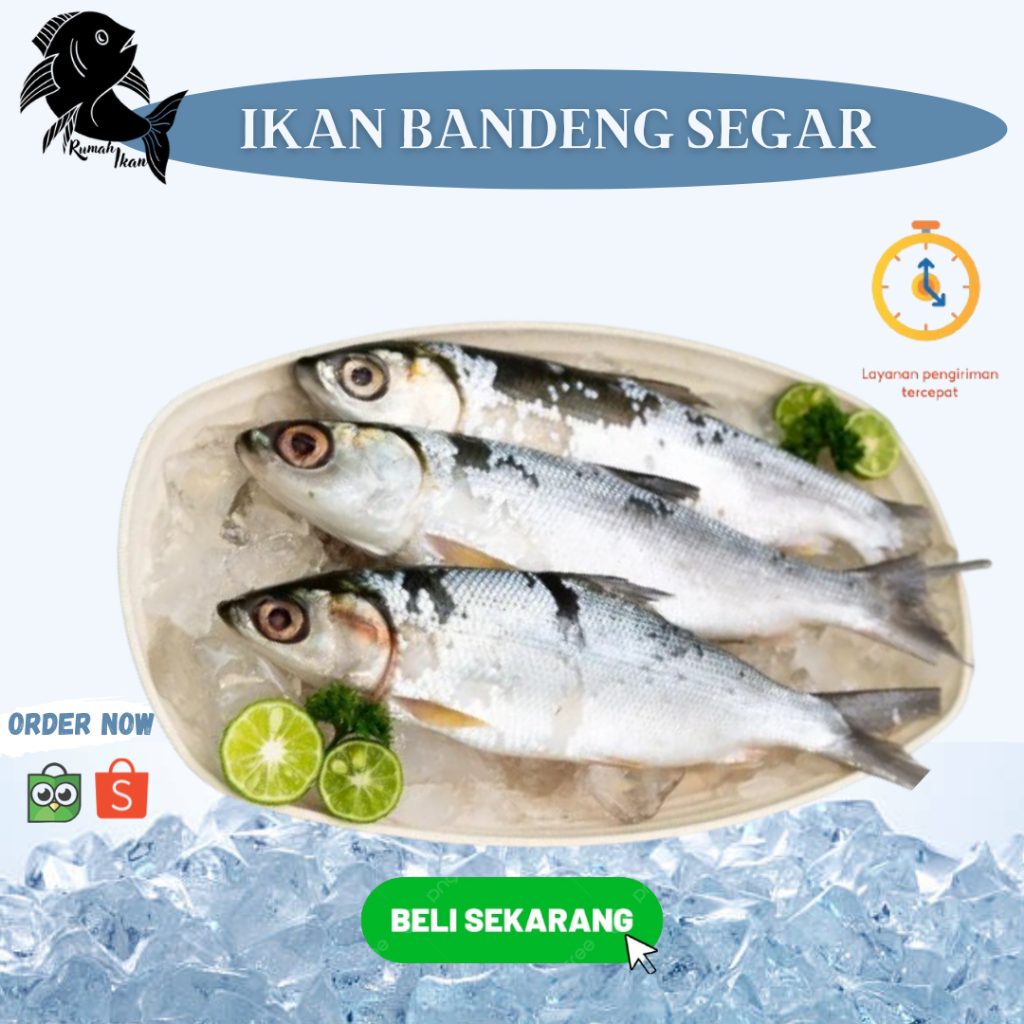 

Ikan Bandeng / Bandeng Segar 1kg