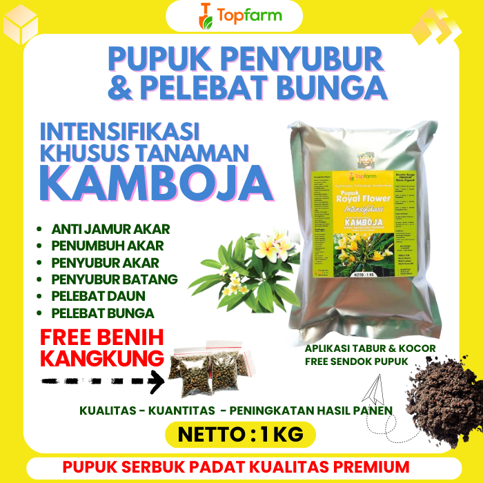 Pupuk Tanaman Bunga Kamboja / Pupuk Untuk Bunga Kamboja / Pupuk Bunga Kamboja Japan / Pupuk Bunga Ka