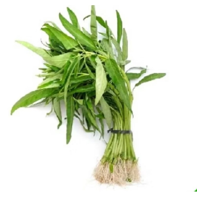 

Sayur Kangkung | Genjer (Pilih sesuai varian)