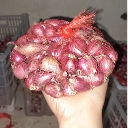 

bawang merah brebes murah sedang tanggung 500gr