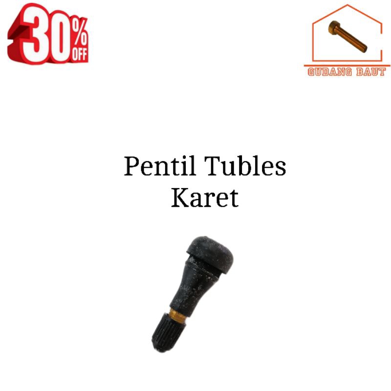 Pentil Tubeless Pentil Ban Motor Tubless Karet