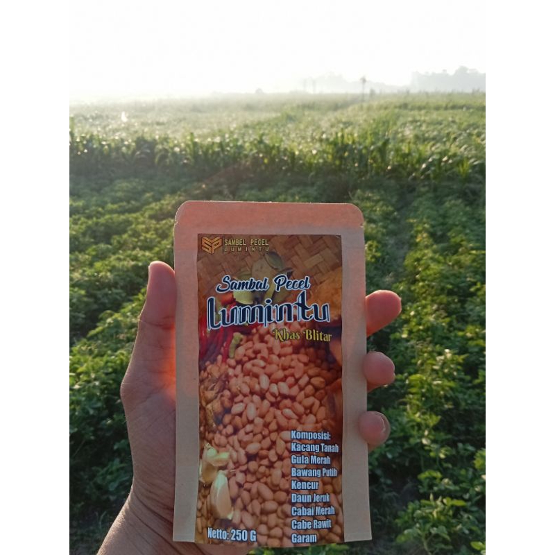 

Sambel Pecel Lumintu