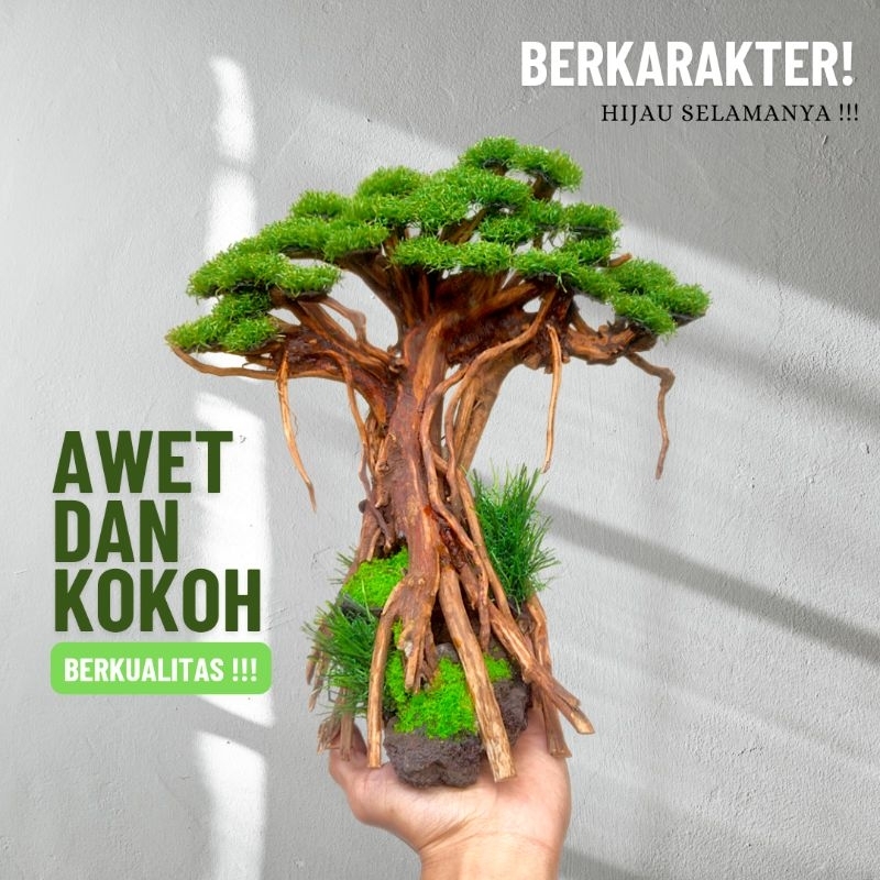 bonsai beringin jumbo hiasan akuarium aquascape