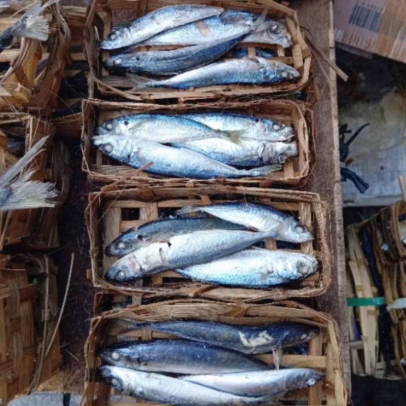 

Pindang Salem - 1 Besek / Kotak