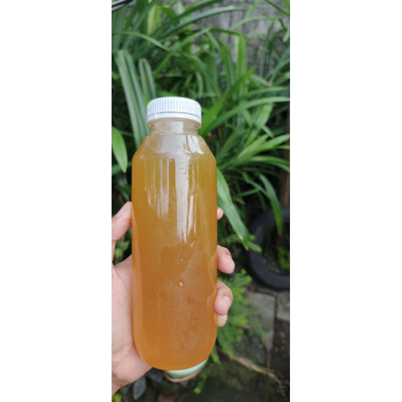

Madu Hutan asli Sumatra jenis lebah APIS DORSATA berat netto 700GR