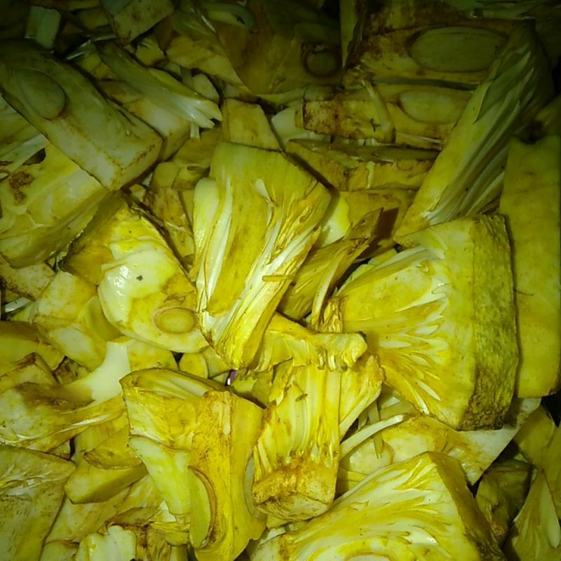 

Bahan Sayur Tewel / Nangka / Nongko muda