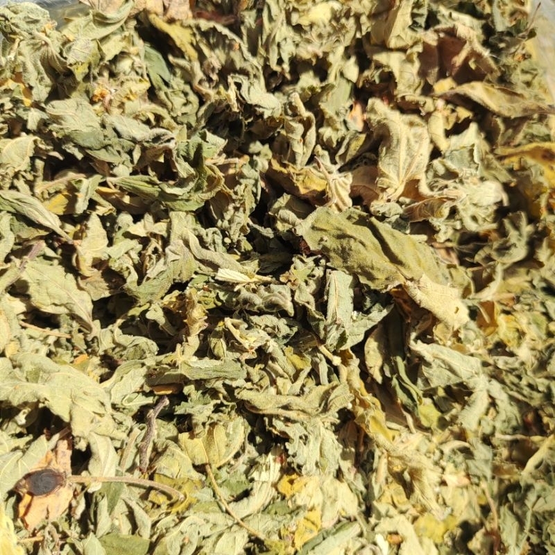 

Herbal Kersen Kering - Daun Talok Kering Asli