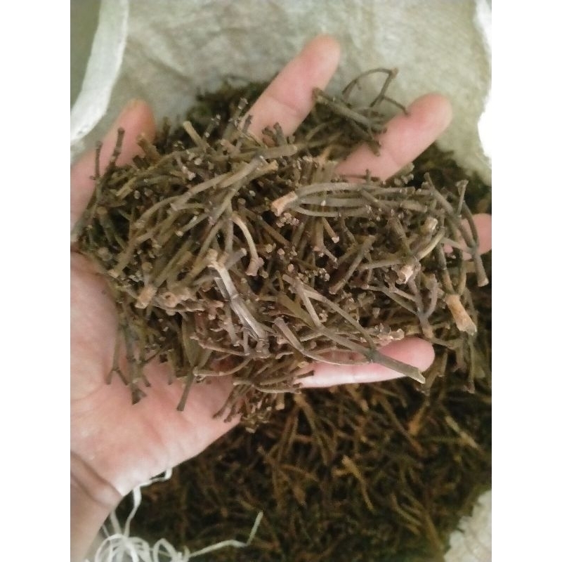 

Gagang Cengkeh Murni Super Kering