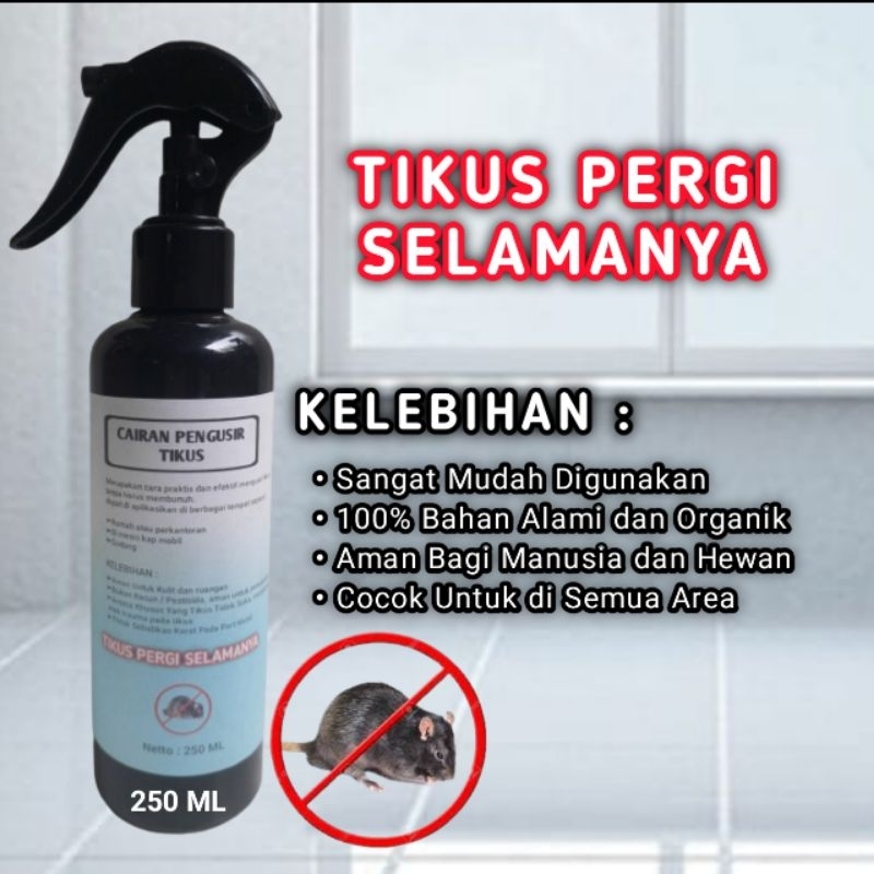 SEMPROTAN SPRAY PENGUSIR PEMBASMI TIKUS RUMAH ALAMI OBAT ANTI TIKUS PALING AMPUH DAN EFEKTIF PENGUSI