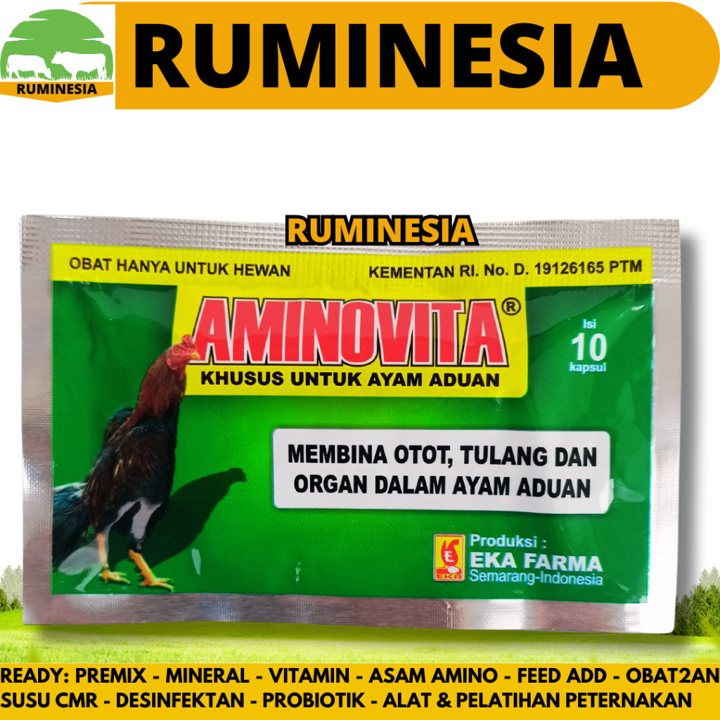 AMINOVITA 10 Kapsul - Obat Ayam Aduan Penguat Otot Tulang & Meningkatkan Kesehatan Ayam Petarung