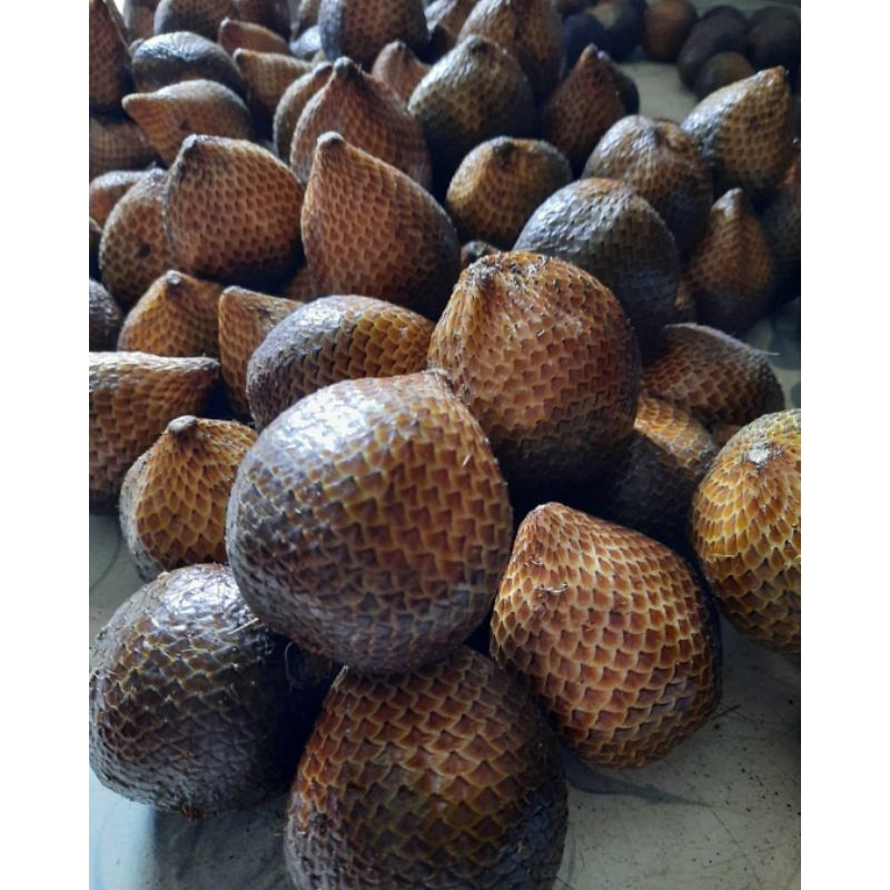 

Salak pondoh