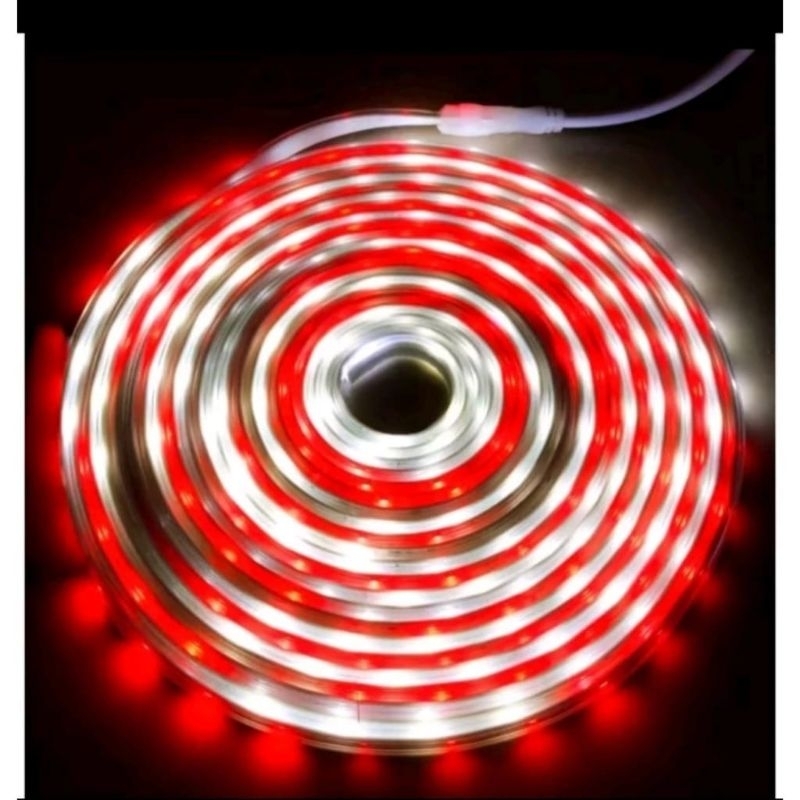 LAMPU HIAS 17 AGUSTUS LAMPU LED STRIP MERAH PUTIH/ WARNA WARNI