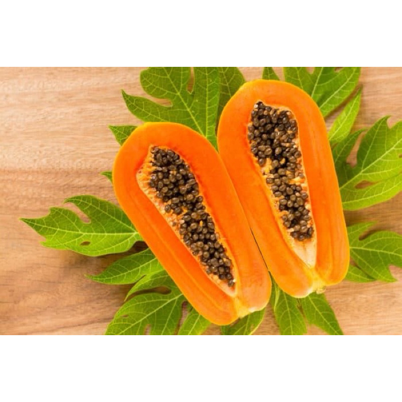 

PEPAYA / BUAH PEPAYA / PEPAYA PER 1 BUAH PEPAYA 800 gr - 1 kg PEPAYA SEGAR PEPAYA MANIS MPASI MERAH MANIS SEMARANG JAWA TENGAH FRESH