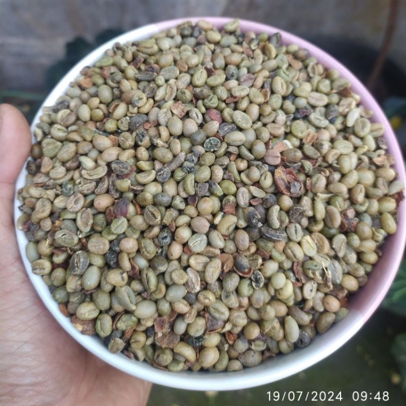 

1Kg KOPI ROBUSTA Gunung Kawi MENTAH / GREENBEANS SISA GRADING 6MM ( Ukuran SANGAT KECIL dibawah 6MM ) TANAP SORTASI AMJ FARM