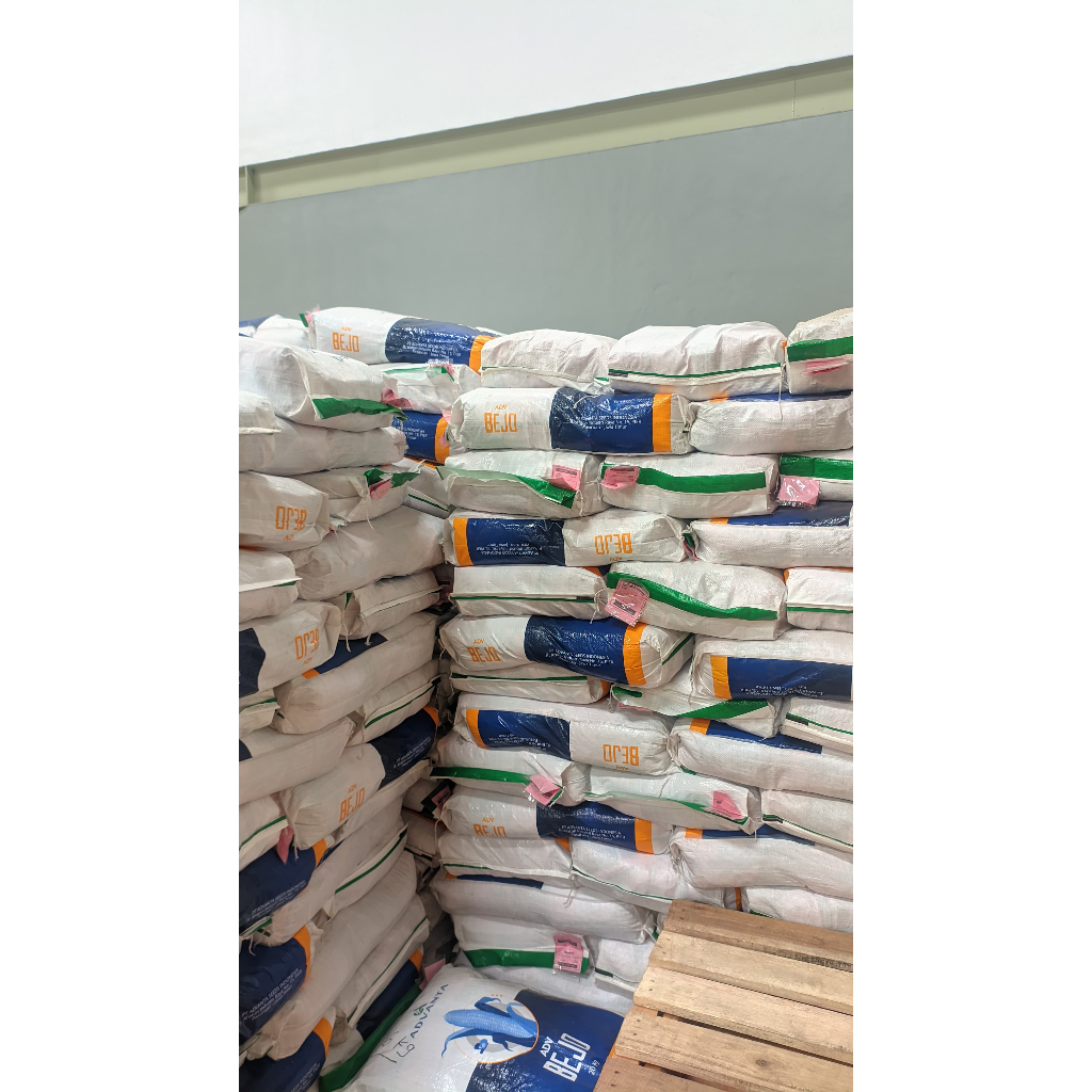 Bibit Jagung Bejo (Advanta Seed)