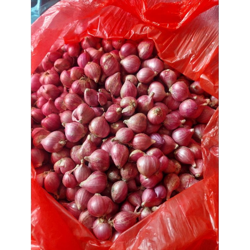 

bawang merah super lokal 1/2kg
