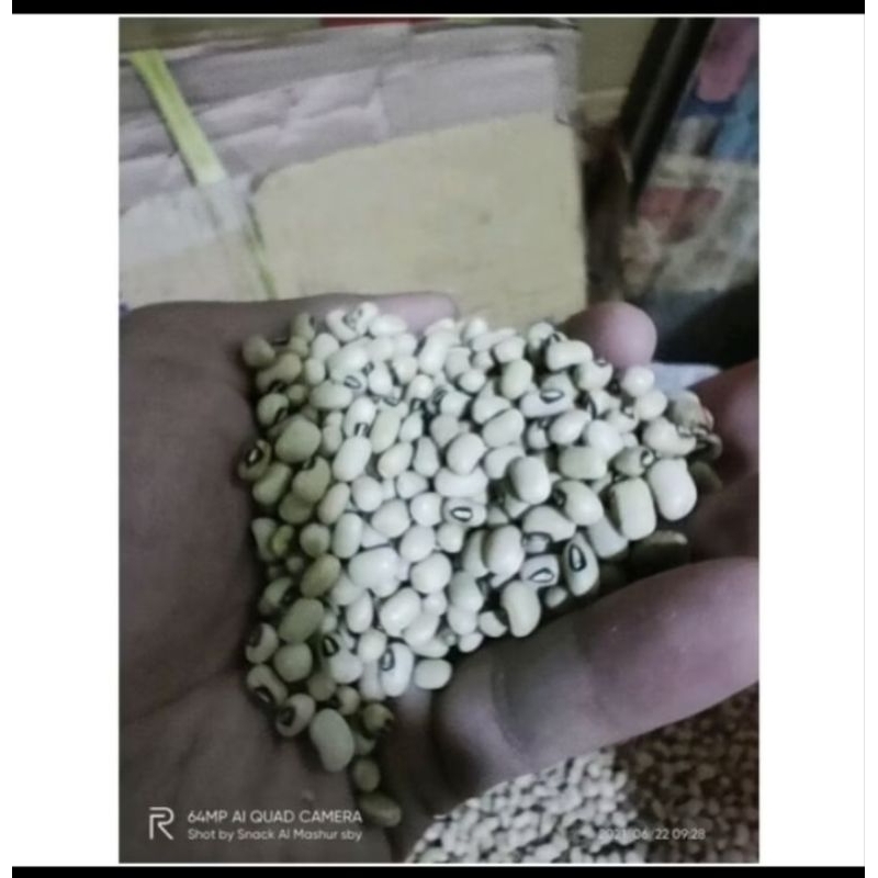 

KACANG OTOK/ BERAS MENTAH MADURA (1kg)